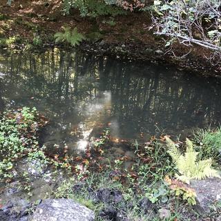 Sorgente dell'Arda